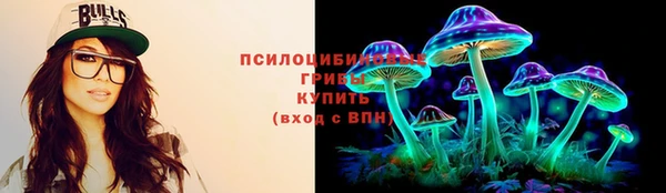 2c-b Горно-Алтайск